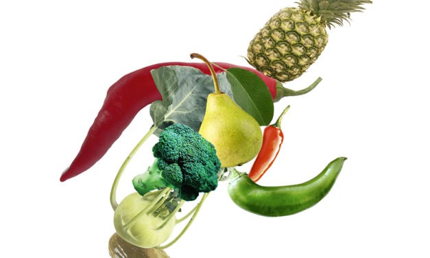 Alimentation : légumes et légumineuses à volonté, charcuterie, sel et sucre avec des pincettes