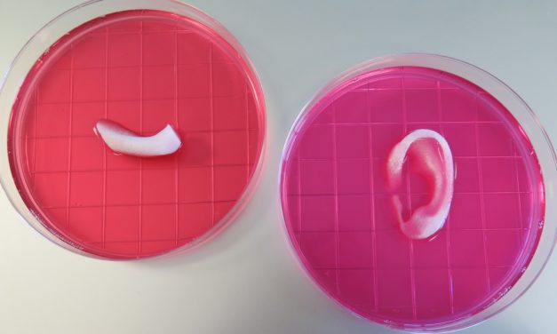 L’Impression d’organes en 3D devient réalité