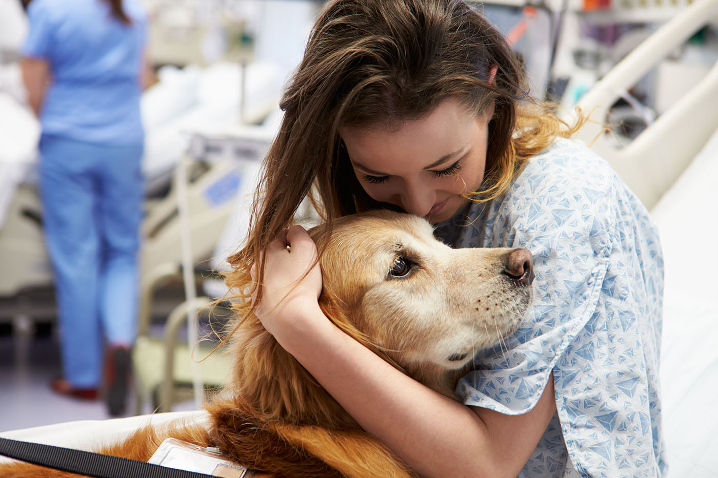 Un chien de médiation visitant une jeune femme malade
Médiation animale et santé